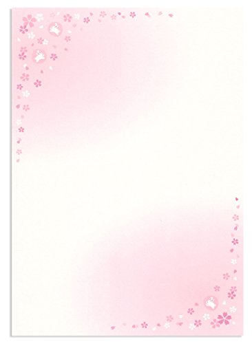yAmazon.co.jp za퐟  a   B5 30