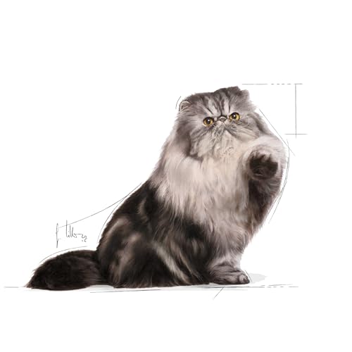 Image of Royal Canin Persian Adult Cat Wet Food, Pack of 36 Pieces, Supports Long Hair Growth, Digestive System & Urinary System