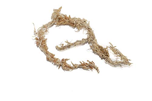 Sphagnum Moos Moosziegel aus Chile 200 g - Langfaseriges Premium Torfmoos als Substrat, für Orchideen, Zimmerpflanzen, Terrarien, Monstera & Moosstäbe