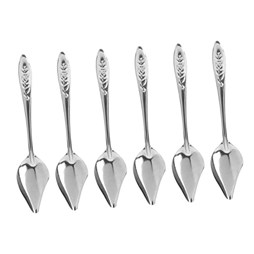 Beatifufu 6pcs Stainless Steel Spoon Bird Feeder Spoon Hand Feeding Formula for Birds Bird Feeding Bird Parrot Feeding Spoon Feeding for Babies Bird Spoon Baby Hand Raised Suite