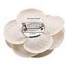 Broche Camélia Tissu 6 Pièces Broche Fleur Épingles Pince À Cheveux Fleur Artificielle Broche Barrette Épinglette de Mariage Fête Vêtements Accessoire Cadeau pour Fille Femme #4
