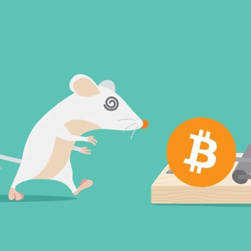 Couverture de FOMO Taastusravi