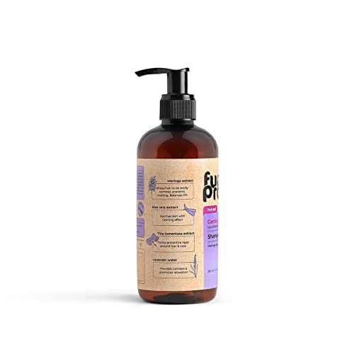 Image of Gentle Cleaning No Tear Shampoo for Dogs & Cats - Natural Shampoo with Aloe Vera for Sensitive Skin - Lavender Controls Bad Odour & Keeps Pets Calm - Moringa Prevents Skin Infection - 300ml