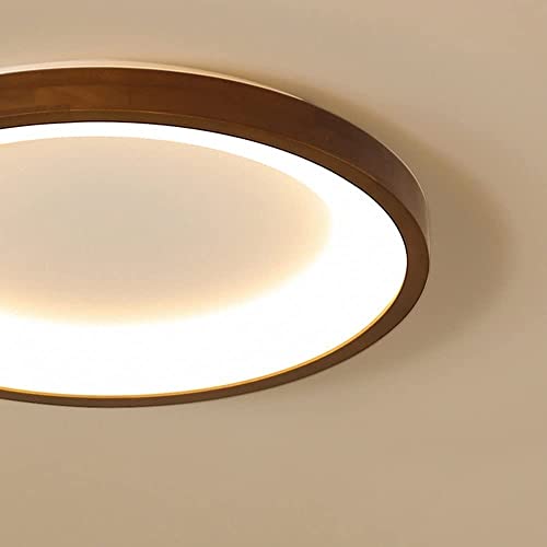 Plafonnier moderne mince pour cuisine et lampe d'étude LED à intensité variable