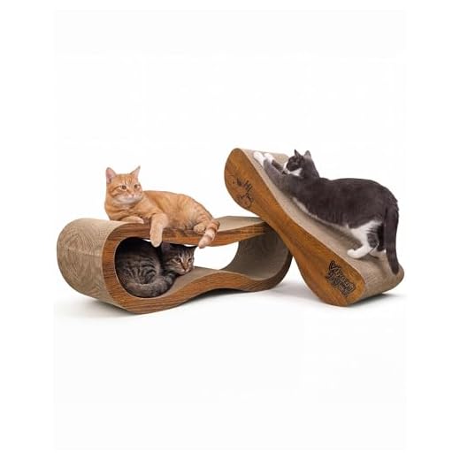 2-in-1 Reversible Cat Scratcher Board