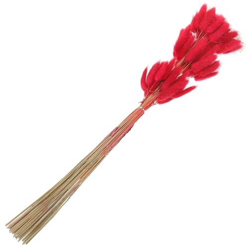 Decoración floral con hierba cola de conejo seca roja 60 tallos miniatura 1