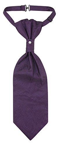 Image of Vesuvio Napoli PreTied ASCOT Solid PAISLEY Color Cravat Men's Neck Tie 21 Colors