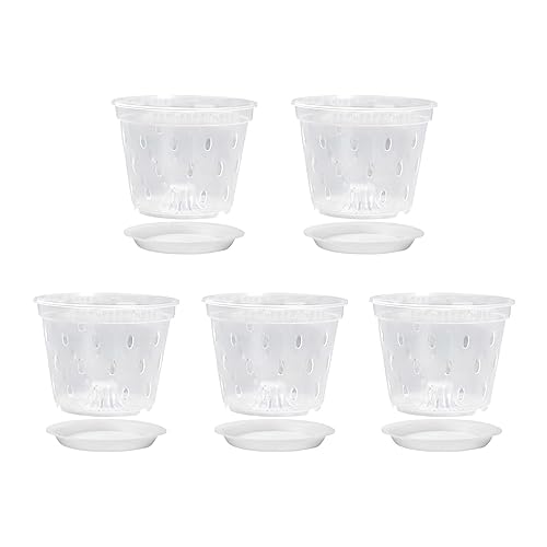 AYPOHU Transparente Nutrition - Taza para plantas de vivero para suculentas, orquídeas, flores, esquejes, trasplante, cultivo de verduras