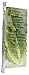 Romaine Lettuce, 1 EA
