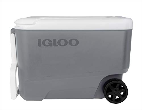 igloo(�C�O���[) �E�B���[�N�[�� 38 (36L) �O���[ #34499��58×���s33×����40cm