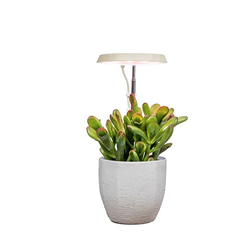 AeroGarden Stem Grow Light for Indoor Plants, Grow...