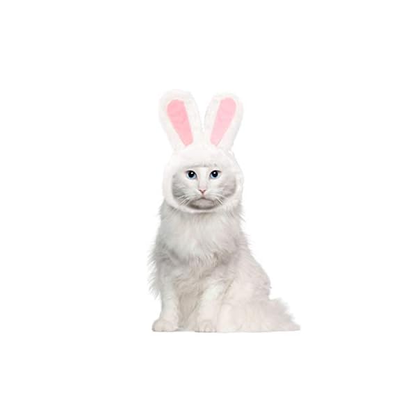 Ximishop cute costume bunny rabbit hat with ears for cats & small dogs party costume easter pet accessory headwear - image 8