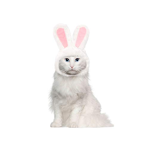 Ximishop cute costume bunny rabbit hat with ears for cats & small dogs party costume easter pet accessory headwear 7 Ximishop cute costume bunny rabbit hat with ears for cats & small dogs party costume easter pet accessory headwear - image 8