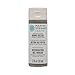 Martha Stewart Crafts Home Decor Eggshell Paint: Zinc (2 ounce)