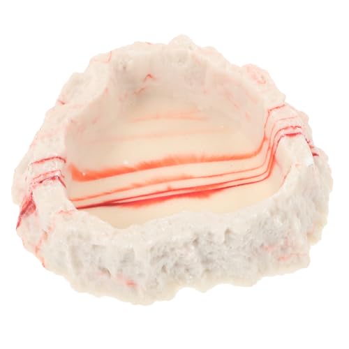 CIYODO Reptile Feeding Bowl Durable Resin Water Dish for Lizards Tortoises and Animals Natural Color Design for Enhanced Security for Terrarium Use