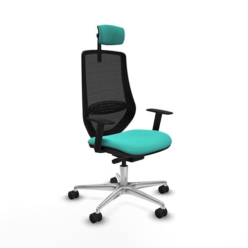 Piqueras y Crespo Silla para Corregir Postura Mardos con Respaldo Fijo, cabecero 2D, Apoyo Lumbar 1D, Brazos 1D, Mecanismo Sincro/Traslack, Ideal para 24 Horas y 120 Kg