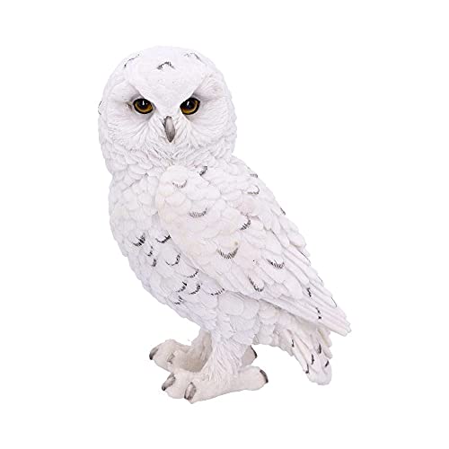 Nemesis Now Snowy Relógio pequeno (13,3 cm, resina, tamanho único), branco