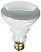 Eiko 45BR30/FL-120V Flood BR30 Medium Base Halogen Bulb, 120V/45W