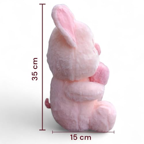 Image of Pink Sweetheart Piggy Soft Toy - 40 cm Premium Plush Stuffed Animal | Cute Cuddly Teddy for Kids & Gifting (Pink Sweetheart Piggy)