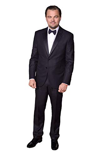 Leonardo Leo LIFESIZE Cardboard Standup Standee Poster Figure Cutout Display Prop RED Carpet