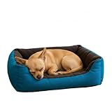 PETS&MORE | Cama para Perro | Azul Neón | Talla Chica | Material Súper Suave de Poliéster | Diseño Ergonómico y Ligero...