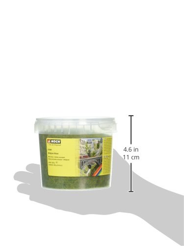 Noch – Herbes Sauvages Et Pré – Modélisme Ferroviaire – 6 Mm – Pot 100 G – Dès 14 Ans
