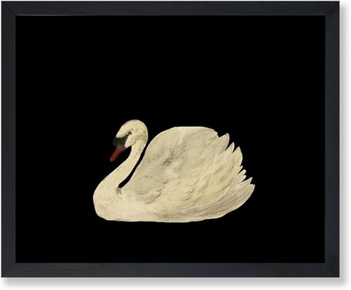 Toile cygne muet rétro grand format 70x110 pour sublimer le salon