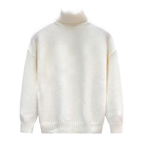 Men's Soft Sweater Winter Warm Turtleneck Pullover Solid Color Knit Casual Top