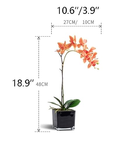 Ensemble de fleurs artificielles orchidée pour décorer buffet
