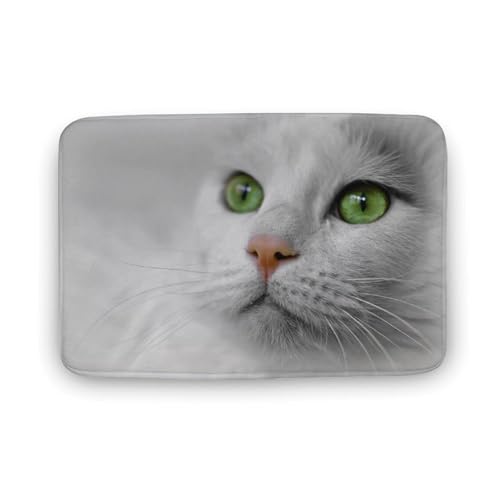 L   oX}bg   z փ}bg  O   \ ~ Aj LN^[ @}bg   ʏ