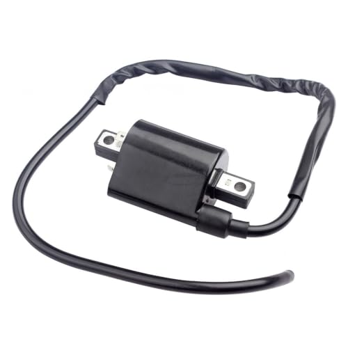 Interruptor de encendido para Virago 535 XV535 (1987-2000) con bobina de encendido 4