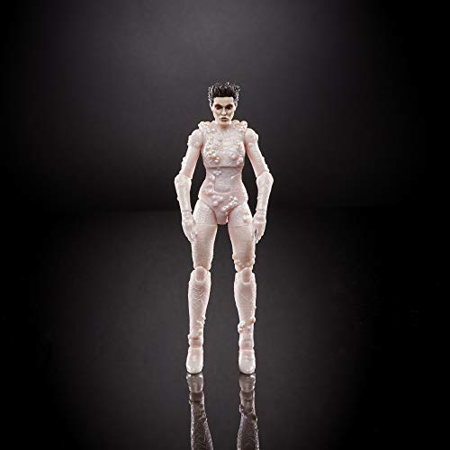 Ghostbusters Plasma Series Gozer Toy 6-Inch-Scale Collectible Classic 1984 Action Figure, Toys For Kids Ages 4 And Up (E97985X0) #TOP4