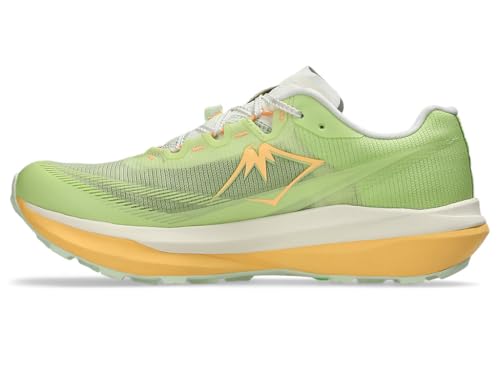 Image of ASICS FUJISPEED 4