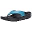 Hawaiian Blue