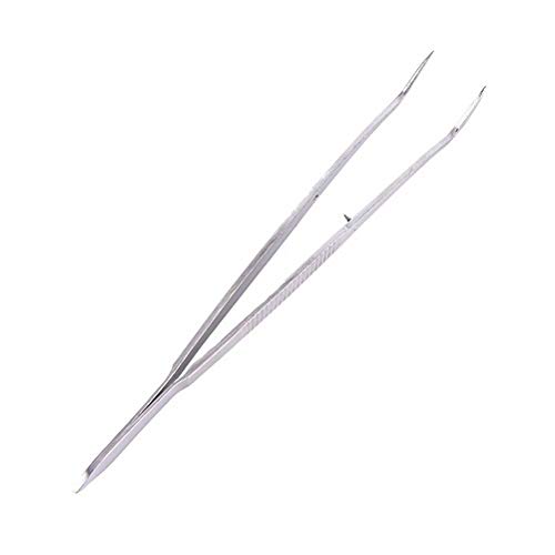Forgesy Dental Plier Stainless Steel Dental Tweezer Forcep Teeth Clean Tool Professional Dentistry Instrument Hygiene Dentistry Tool 1pc