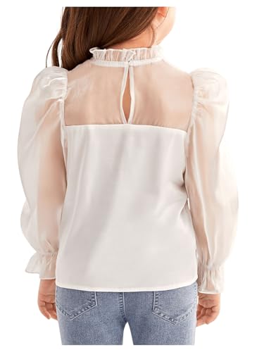 WDIRARA Toddler Girl's Mesh Sheer Long Sleeve Bowknot Mock Neck Frill Trim Blouse Top2