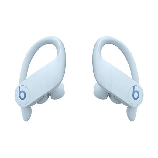 Powerbeats Pro Wireless Earbuds - Apple H1 Headphone Chip, Class 1 Bluetooth Headphones, 9 Hours of Listening Time, Sweat Resistant, Built-in Microphone - Glacier Blue