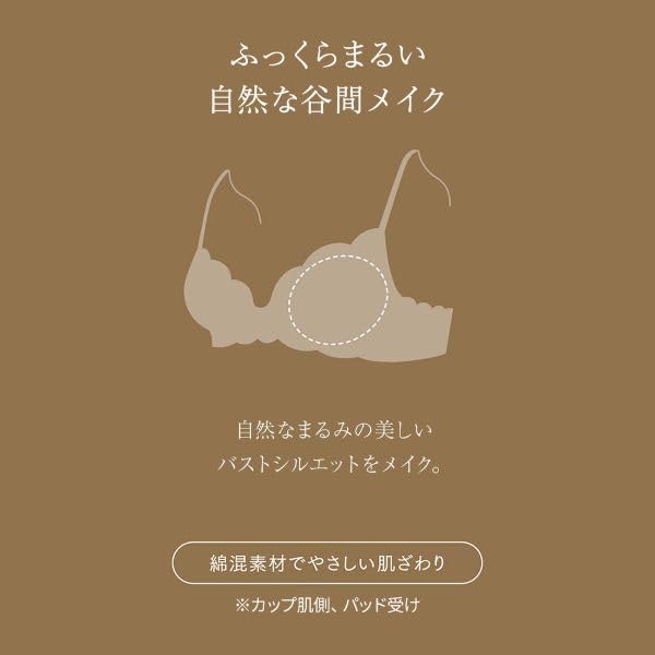 ウイング レシアージュ 2120シリーズ ブラジャー BC ふっくらまるい自然な谷間 Wing Lesiage PB2120 25S