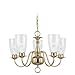 Sea Gull Lighting 3314-02 Traditional Five-Light Chandelier, Brass Finish with Clear Glass Shades