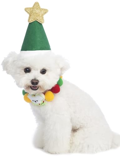 Impoosy 2 peças, fantasia de Natal, gato, chapéu de Papai Noel com cachecol de Natal, gatos, roupas
