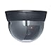 Produktbild Relaxdays Dummy Kamera Dome mit LED-Licht, mit verstellbarem Kamerawinkel, Sicherheitskamera, Dummy Camera, schwarz, 1 Stück (1er Pack)