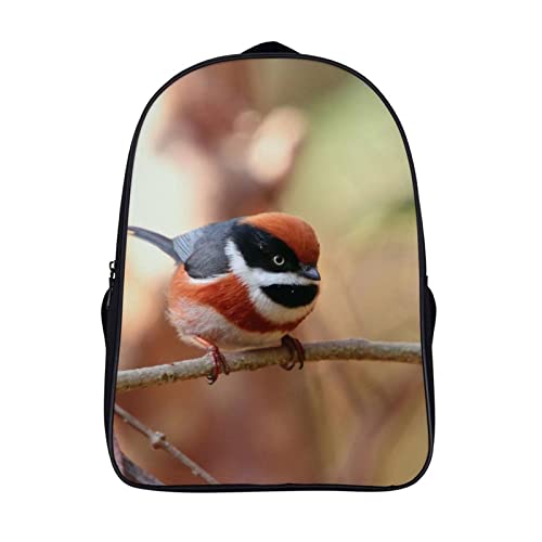 Sac d'école grand volume 40x28x16cm avec bretelles ajustables confortables
