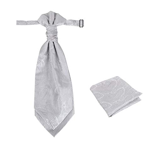 Epoint C.b.aq.r.010 Silver Paisley Pre-Tied Cravat Silk Bridegrooms Ascot Hanky Set #TOP13