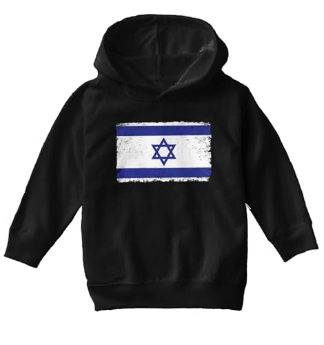 Tcombo Distressed Israel Flag - Horizontal Toddler/Youth Fleece Hoodie2