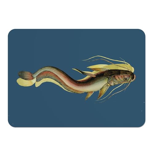 Lot de 4 sets de table souples dessous liège napperons bleu poisson - 2