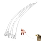 POPETPOP 10 mangueras de alimentación para pájaros y pollitos, accesorios de manguera de alimentación para pájaros, herramienta para beber, pájaros, agua, conejo, alimentador de mascotas, loro para