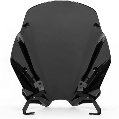 GSX8S 2023 2024 GSX-8S I[goCptgXN[ EChV[h(Smoke)