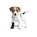Hund und günstig Kaufen-Schutz- und Erholungssocken, atmungsaktiv, für Hunde, Katzen, 100 % Softshell – chirurgische Schutzbezüge gegen Verletzungen, Stopp Lecken