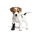 Schutz- und Erholungssocken, atmungsaktiv, für Hunde, Katzen, 100 % Softshell – chirurgische Schutzabdeckungen, Schutz vor Verletzungen, Stop Lecken T. 4(L)-8 cm (3,1 Zoll) H – 18 cm, Schwarz