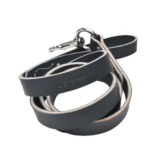 Ray Allen Gray Leather Heavy-Duty Agitation Lead